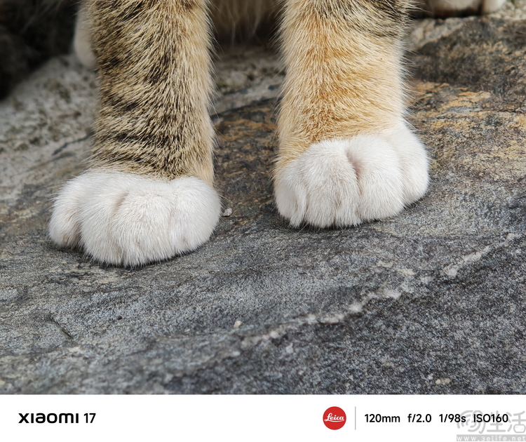 小米17首发评测:外观极致精致,配置均衡无短板 小米17首发评测:外观极致精致,配置均衡无短板