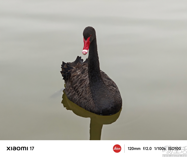 小米17首发评测:外观极致精致,配置均衡无短板 小米17首发评测:外观极致精致,配置均衡无短板